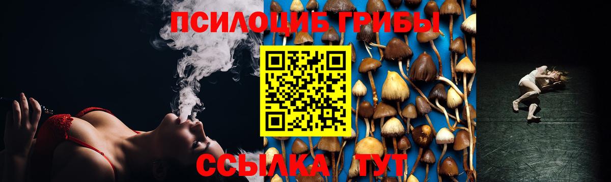 Сегежа  Псилоцибиновые грибы Psilocybine cubensis  Галлюциногенные грибы GOLDEN TEACHER  Вход с VPN 